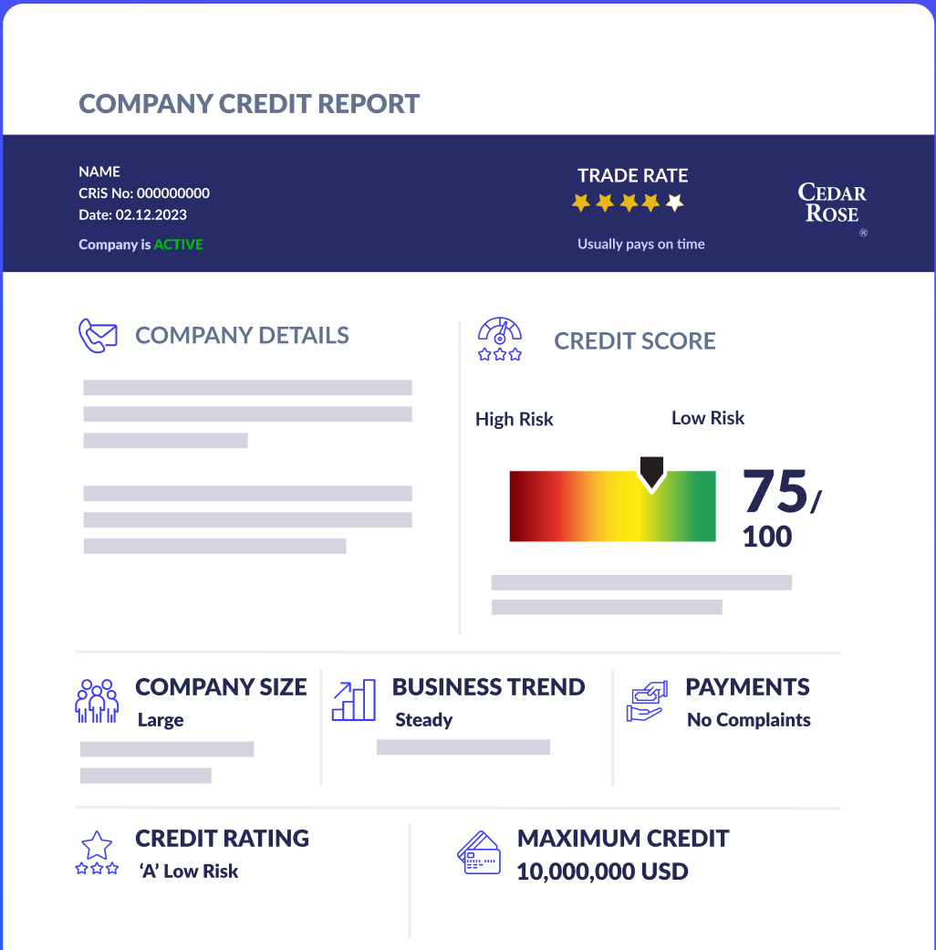 credit report-1